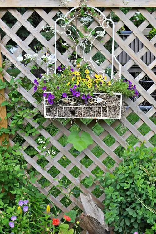 Hanging Metal Planter ideas