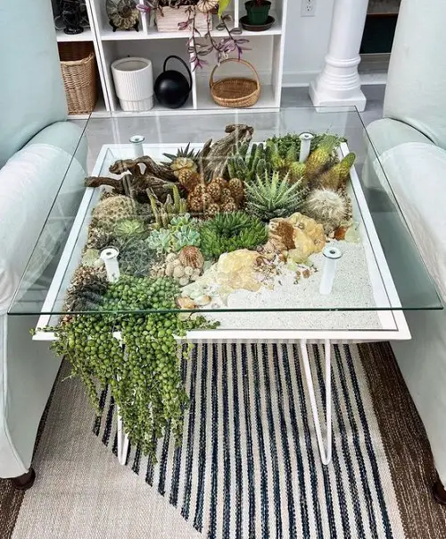 Succulent Sanctuary under the Table