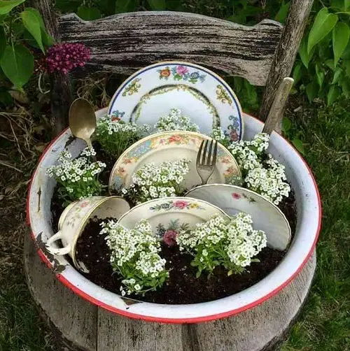 Fantastic Ideas on Succulents Massive Pots with Plates and Cutlery