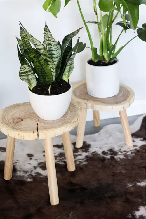 Stump Plant Stand