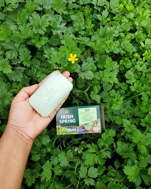 Amazing Irish Spring Soap Uses in Garden
