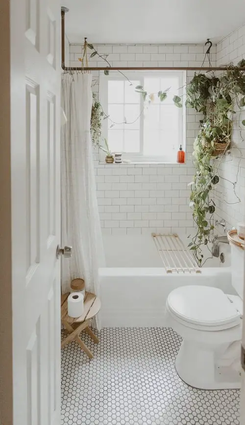 Variegated Foliage for an Amazing Bathroom