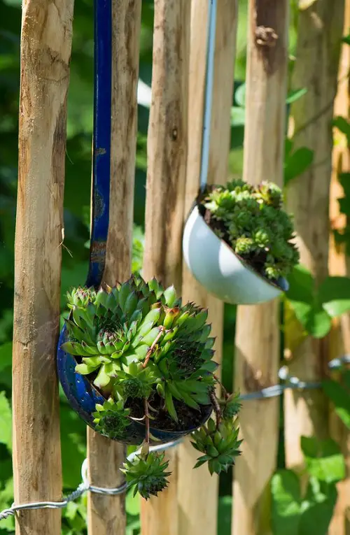 easy Succulents Planted Colored Ladle on Fence