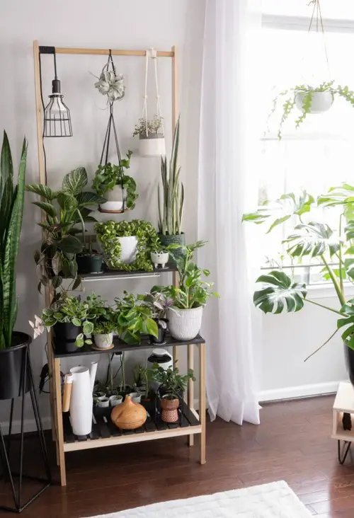 Plant Stand with Macrame Hangers