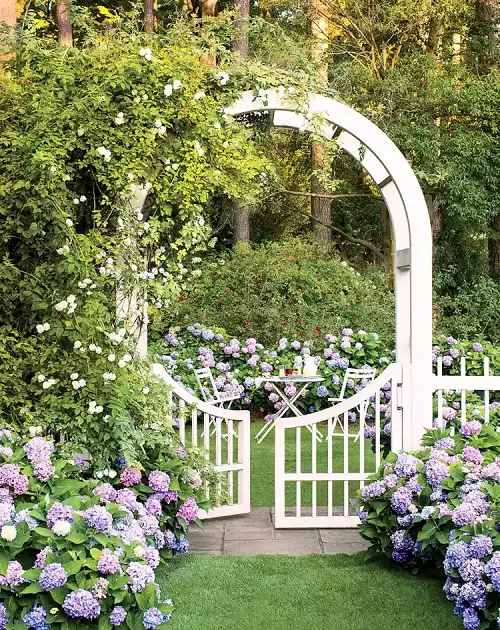 different Ways to Grow Hydrangeas in garden 45