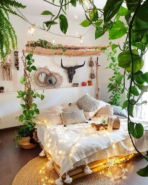 Variegated Vines for the Perfect Bedroom