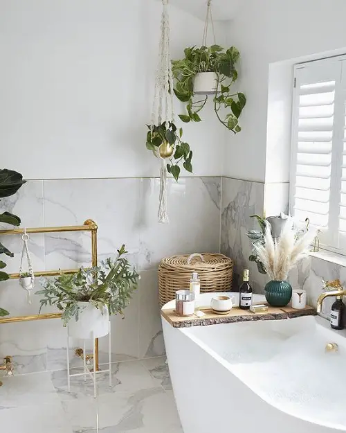 Hanging Indoor Vine Garden Ideas 