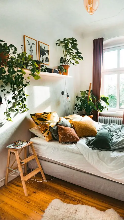 Miniature Monstera and Vines on the Shelf