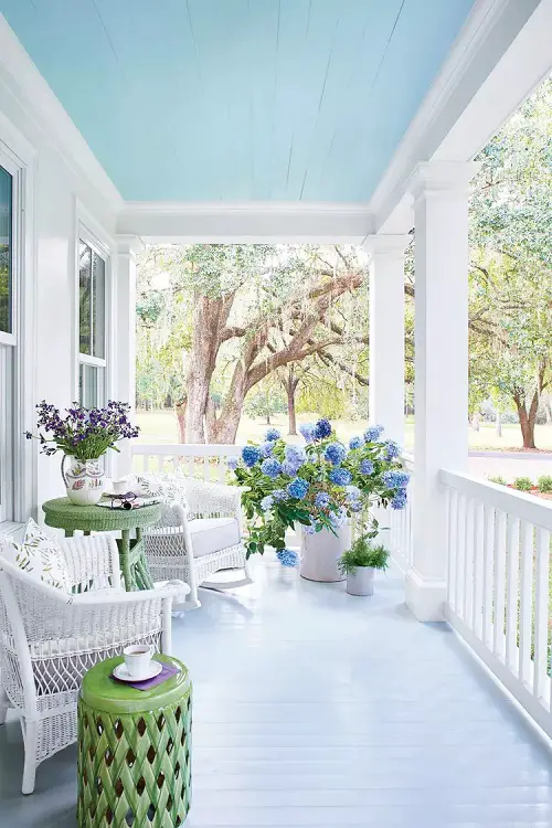 different Ways to Grow Hydrangeas indoor