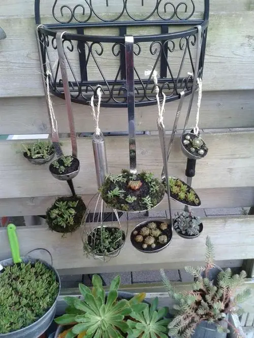 Hanging Succulent Kitchen Garden