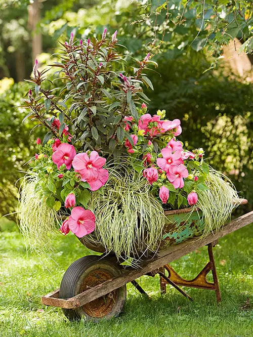 Rustic Wheelbarrow in garden