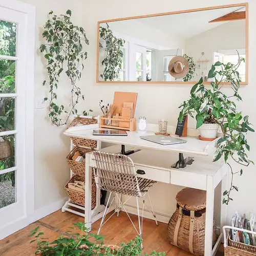 A Study with a Mirror and Vibrant Vines