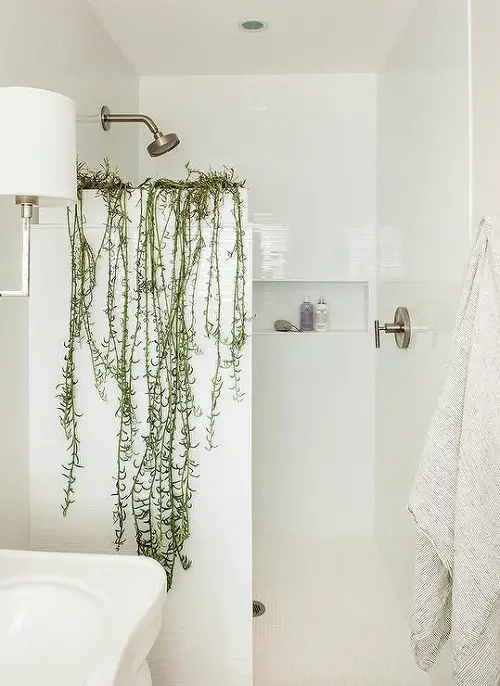 Elegant Vines for a Monochrome Bathroom