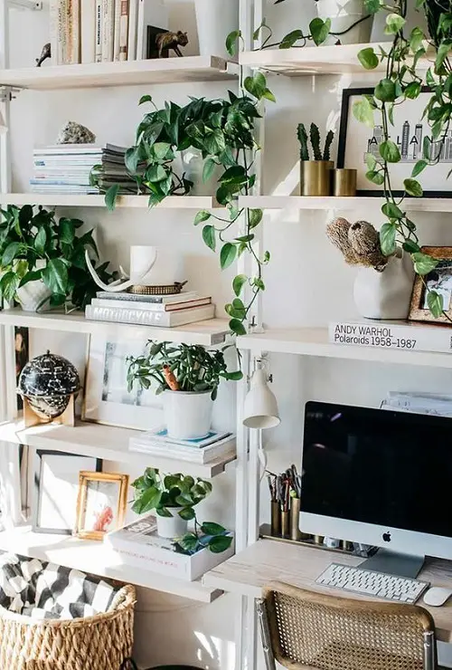 Bookshelf with Vibrant Green Vines