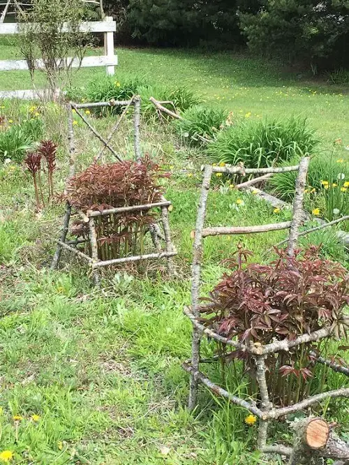 Chair Support From Twigs