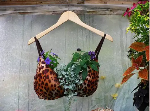 A Leopard in Purple Bra Garden Ideas 6