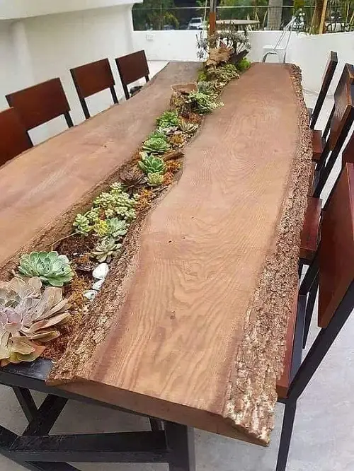 Succulent Trail on a Long Table