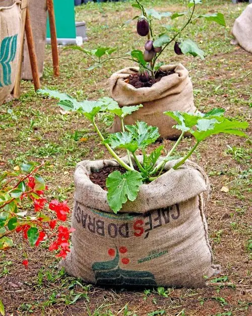 Burlap Vegetable Garden Idea