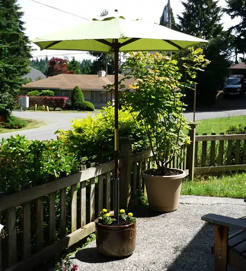 DIY Antique and Vintage Plant Stand Ideas 4