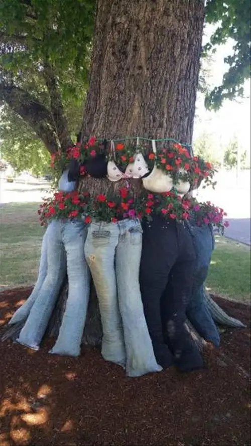 Bra Garden Around a Tree