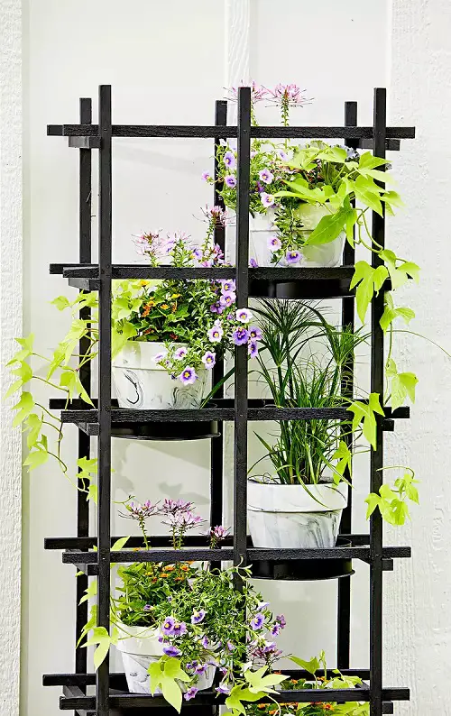 Wooden Trellis Plant Stand