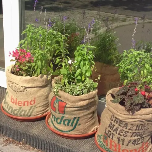 best Burlaps with Clay Trays