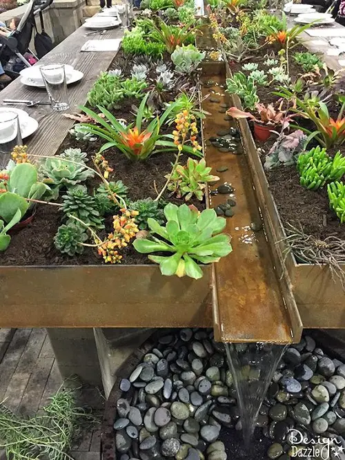 Fantastic Plant Desert in the Table