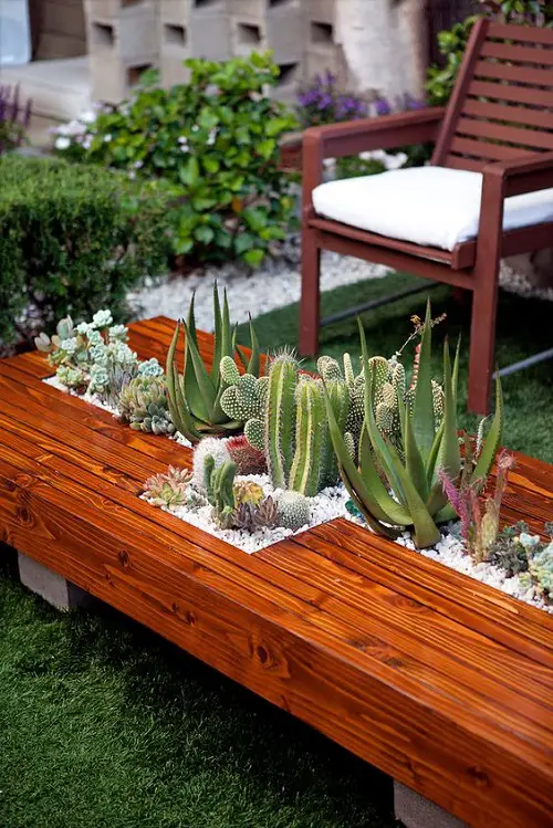 A Bright Low Table with Plants