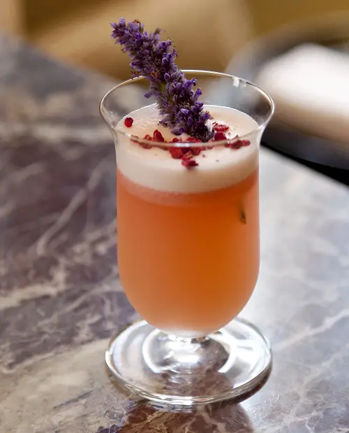 top best Cocktail-Inducing Edible Flowers