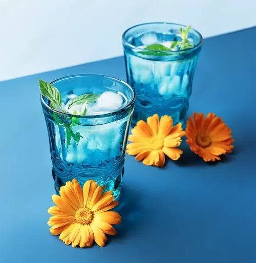best Edible Flowers for Cocktails