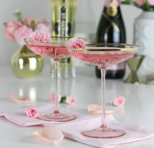 carnation Flowers for Cocktails