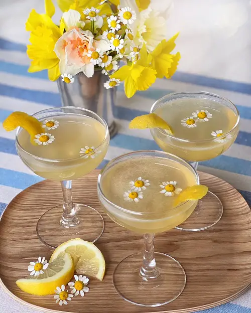 amazing Edible Flowers for Cocktails