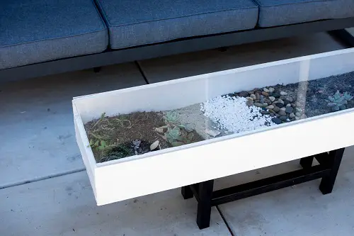 Fantastic Plant Colorful Coffee Table Ideas 