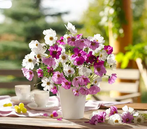 Exquisite Flowers for a First Date to give