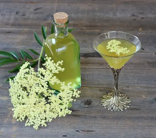 Elderflower for Cocktails