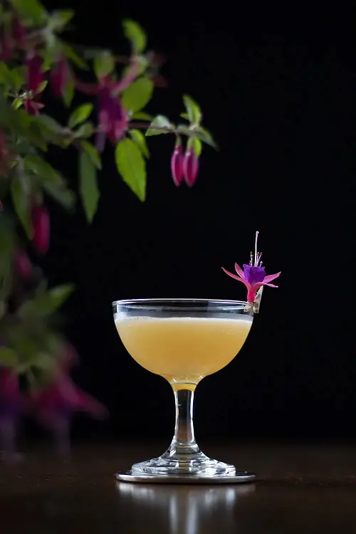 Cocktail-Inducing Edible Flowers