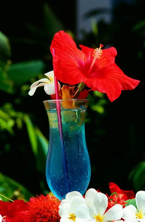 Edible Flowers for Cocktails