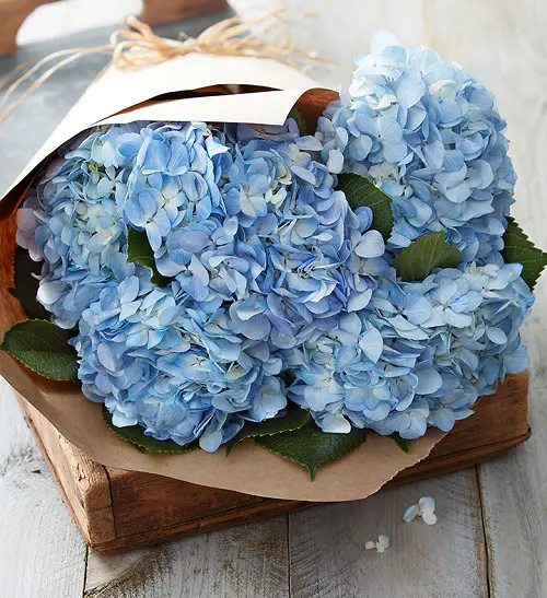 Stunning Flowers for First date gift