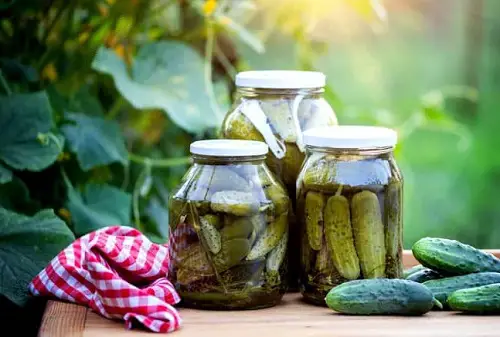 Pickle Juice Uses for Plants