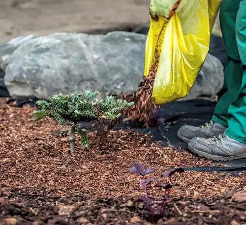 Mulch the Soil