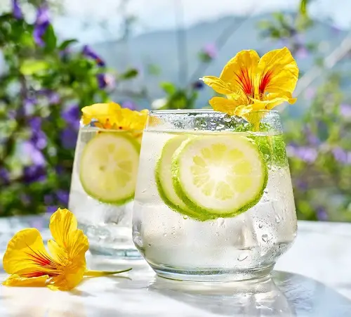 best Edible Flowers for Cocktails