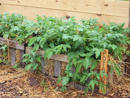 Use Pallets