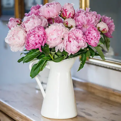 Stunning Flowers for First Date 