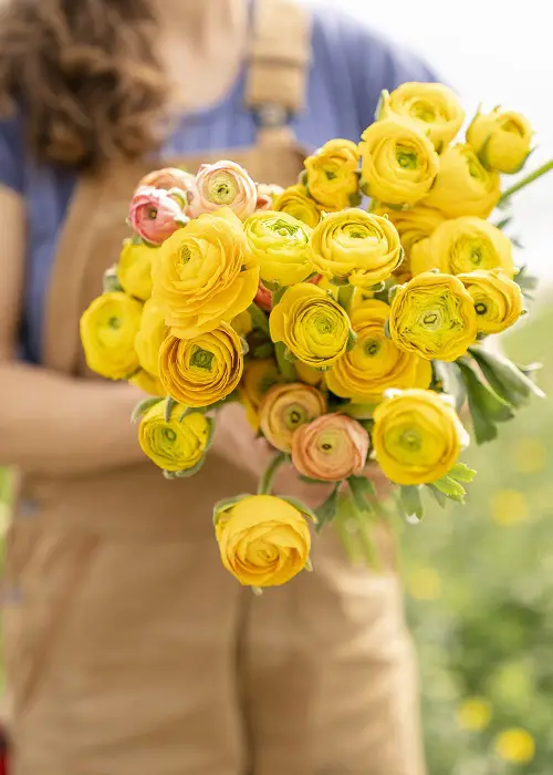 Exquisite Flowers for a First Date