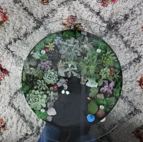 Make a Succulent Coffee Table
