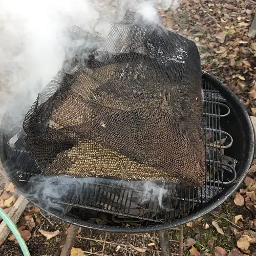 Smoke Germination