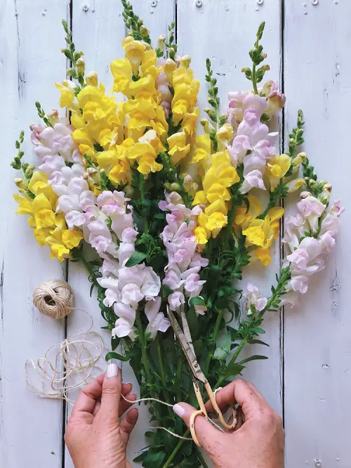 Exquisite Flowers for a First Date