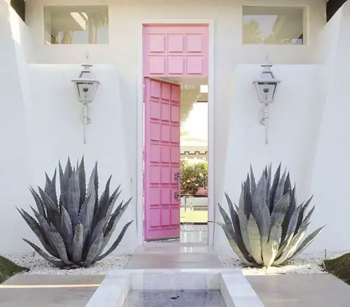 Succulent on the Entrance Idea near door 