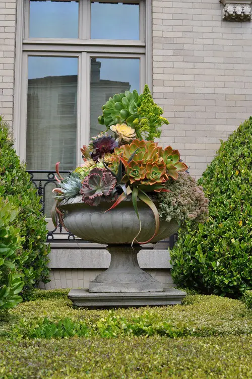 Succulent on the Entrance Ideas 1