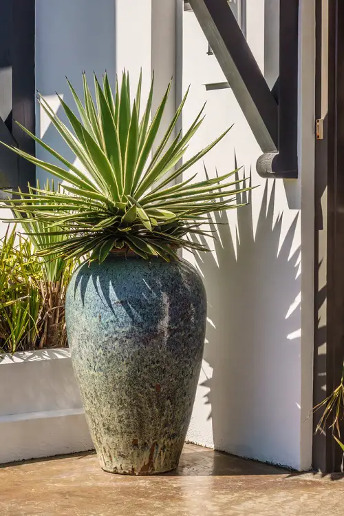 container garden design tips Opt for Pedestrals and Massive Planters